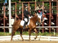 Anna Sophová - IRVEL MČR 2008 drezura 8-12let pony do 148cm